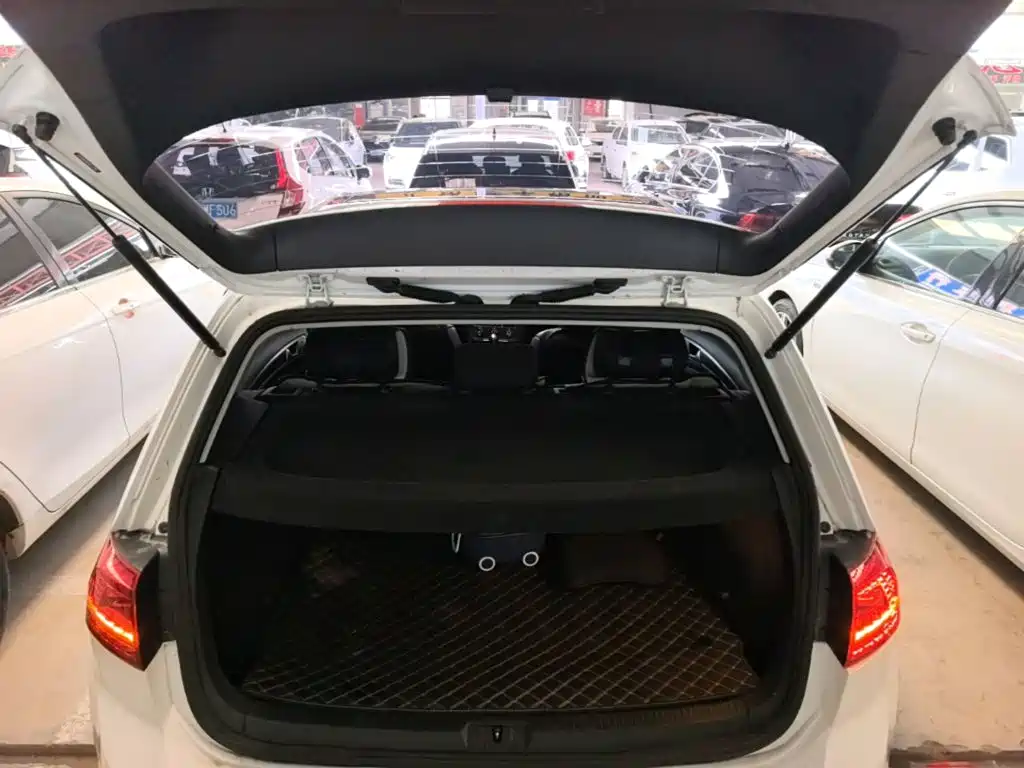 Volkswagen Golf — миниатюра 19