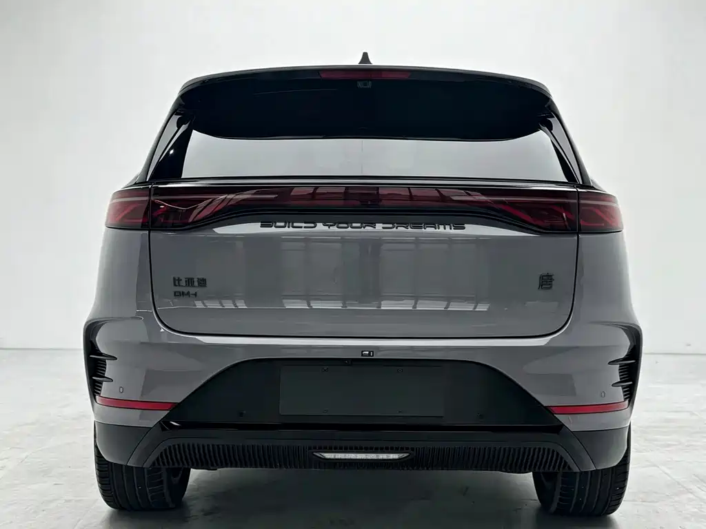 BYD Tang New Energy — миниатюра 4