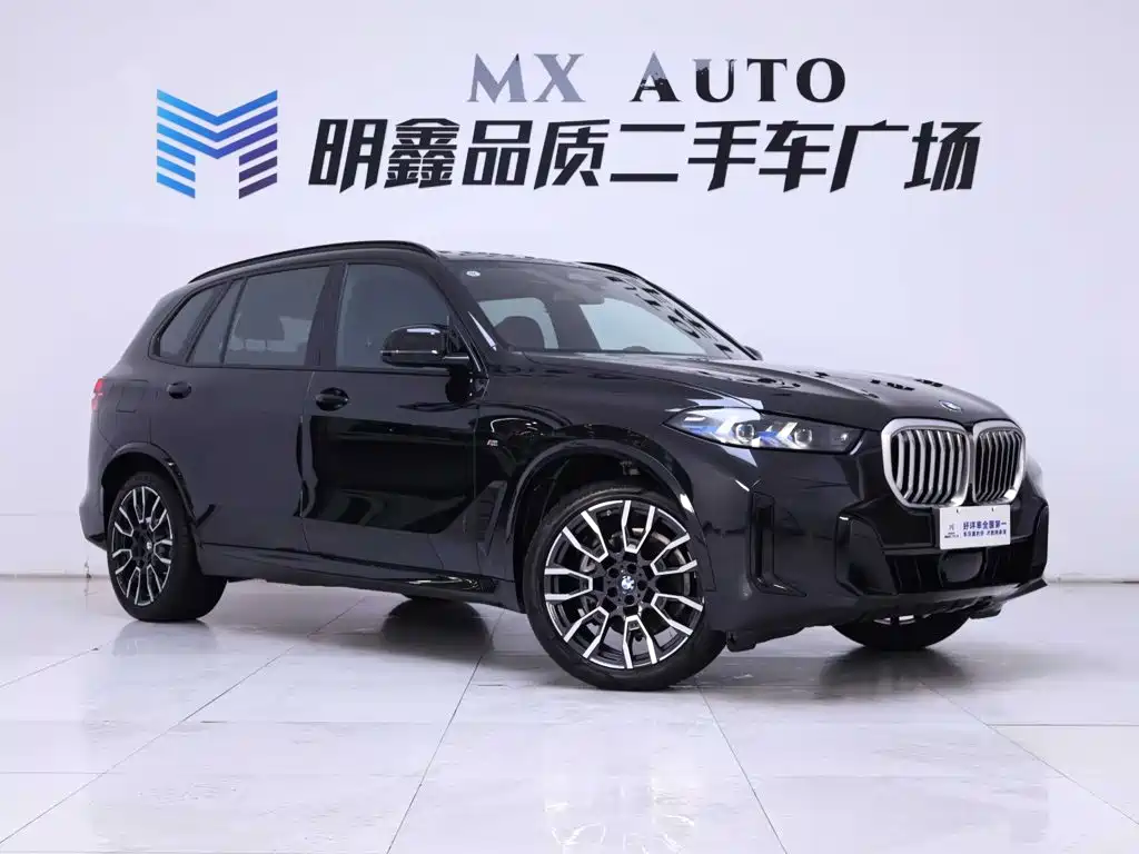 BMW X5 — миниатюра 5
