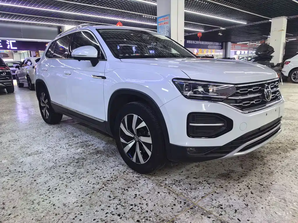 VOLKSWAGEN TANYUE