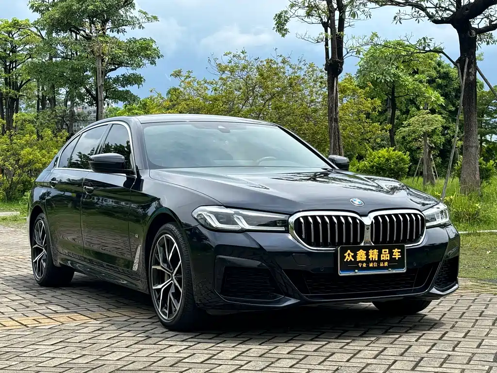 BMW 5 Series 5 2022 530Li Premium M Sport