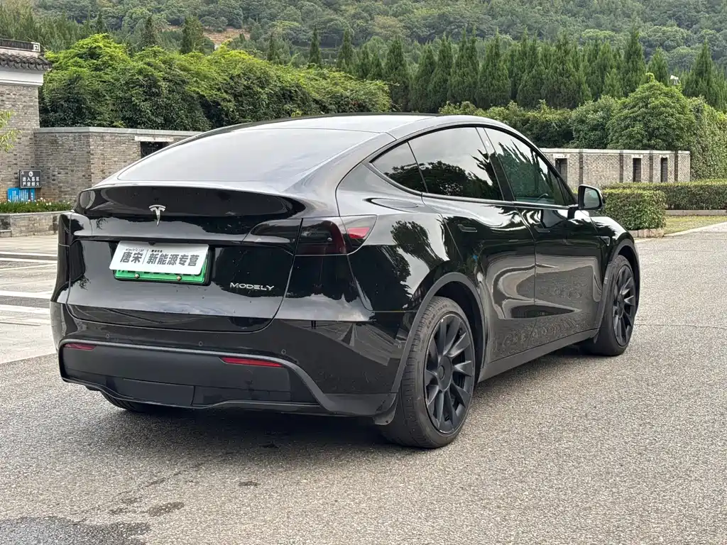 Tesla Model Y — миниатюра 5
