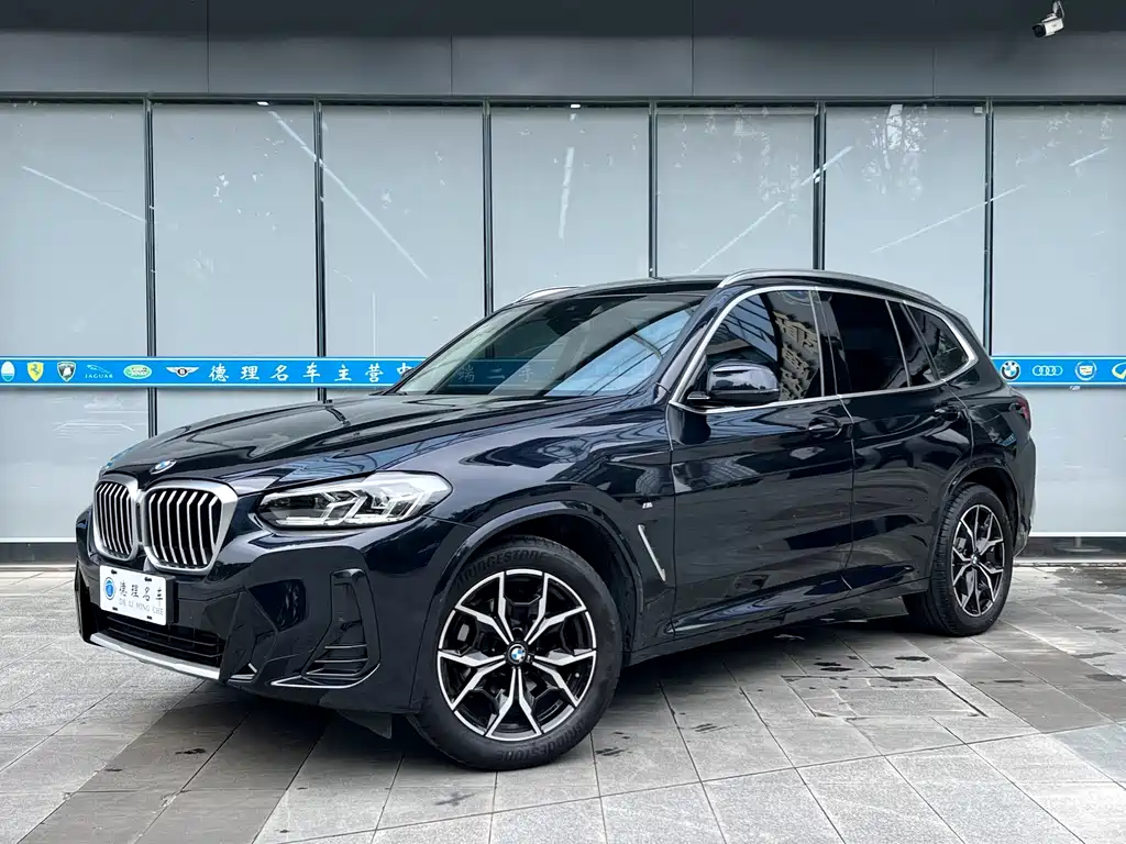 BMW X3 — миниатюра 2