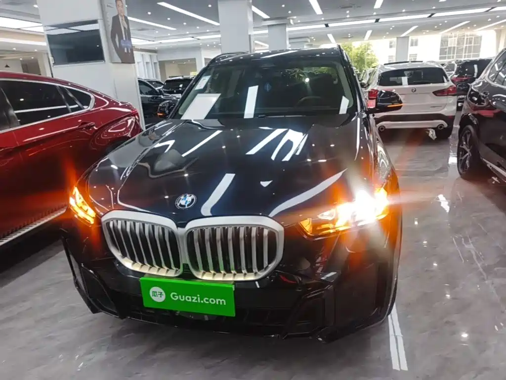 BMW X5 — миниатюра 3