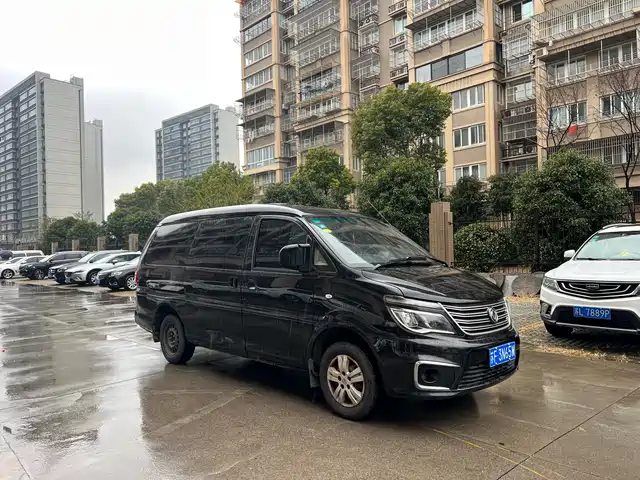 dongfeng lingzhi
