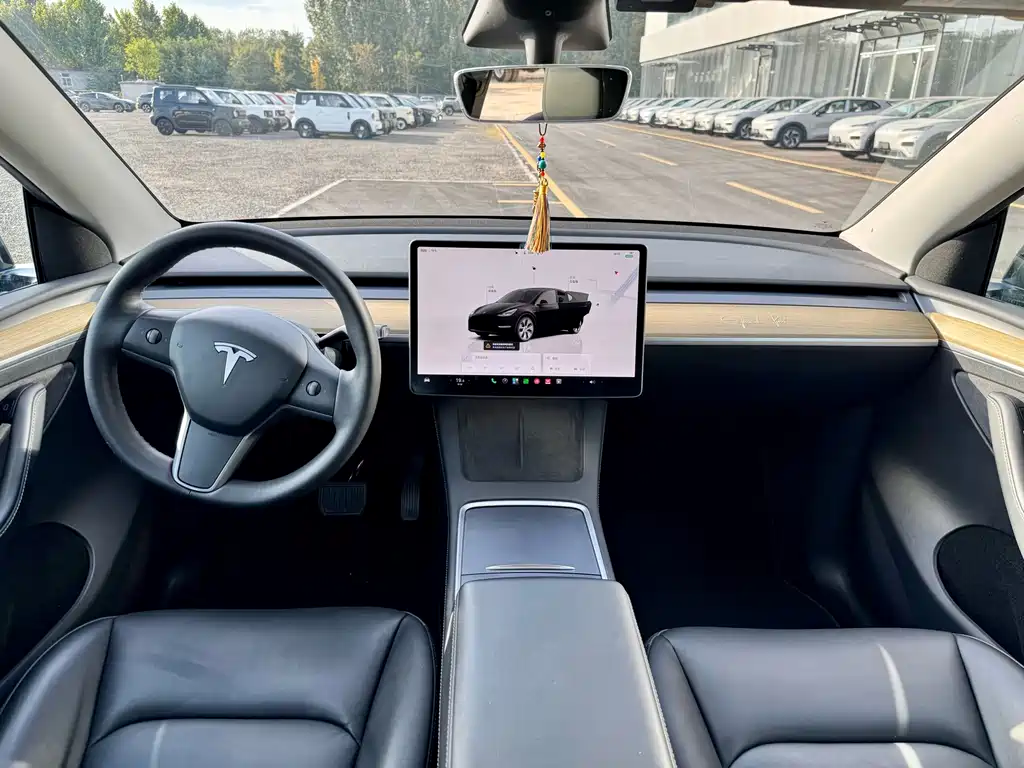 Tesla Model Y — миниатюра 9