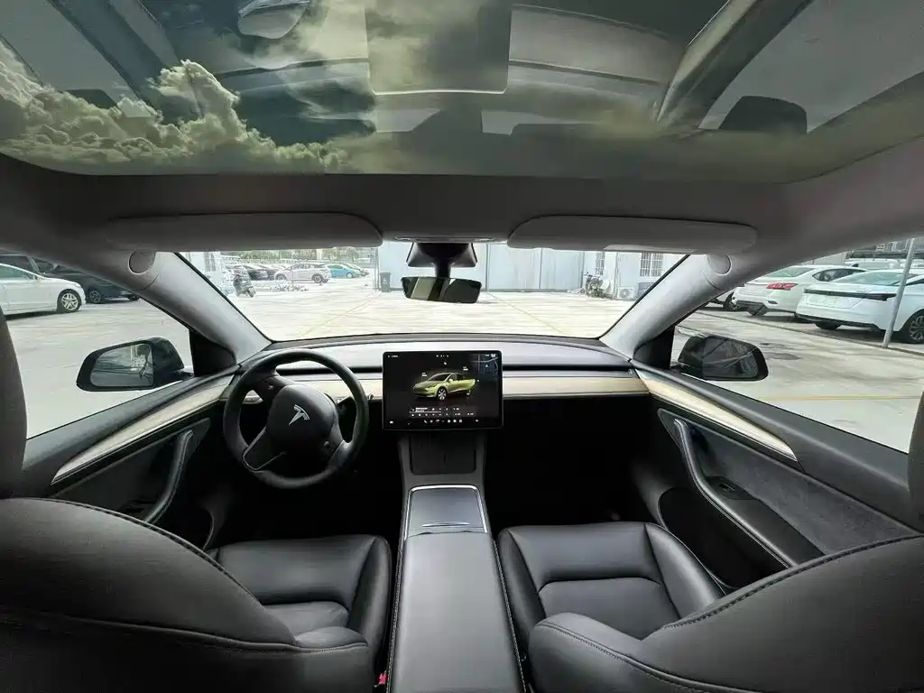 Tesla Model Y — миниатюра 6