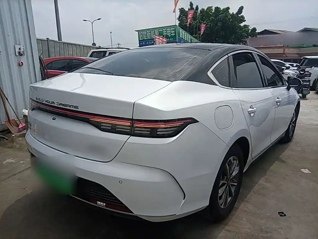 BYD Destroyer 05 2024 DM-i 55KM Luxury