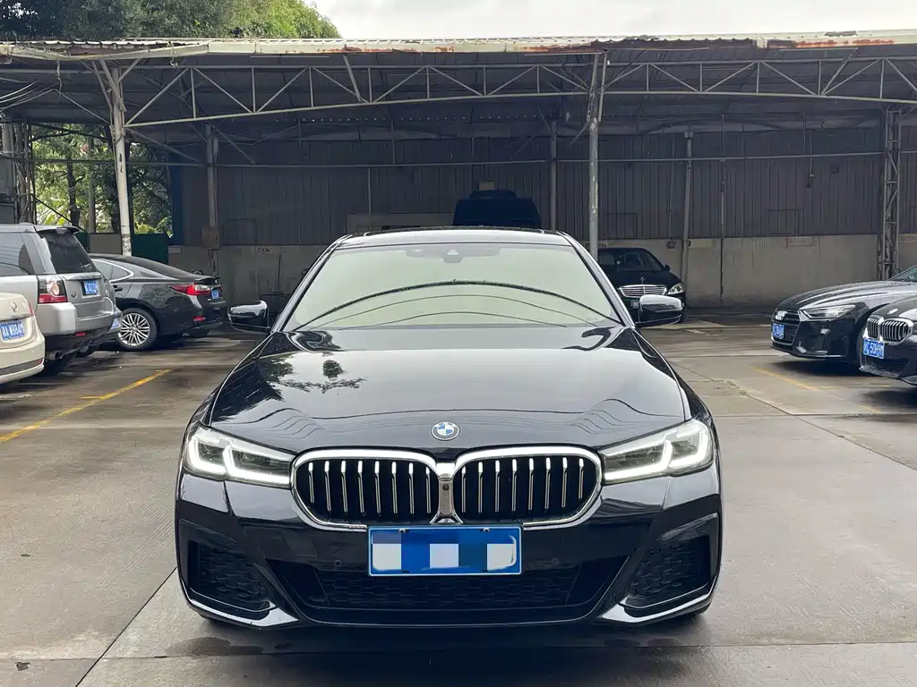 BMW 5 SERIES