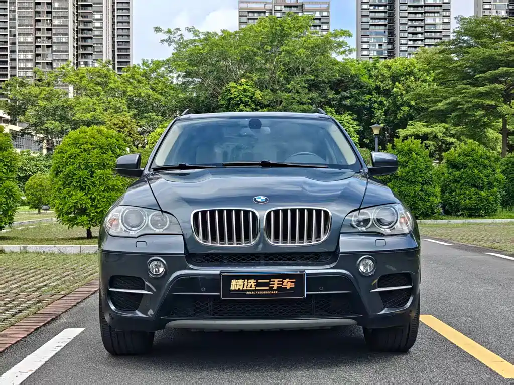 BMW X5 (Import) — миниатюра 2