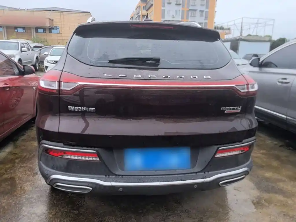 Leopaard Mattu — миниатюра 6