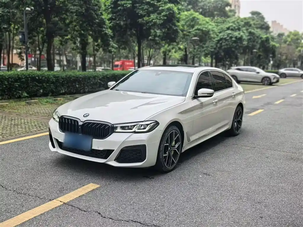 BMW 5 Series 2020