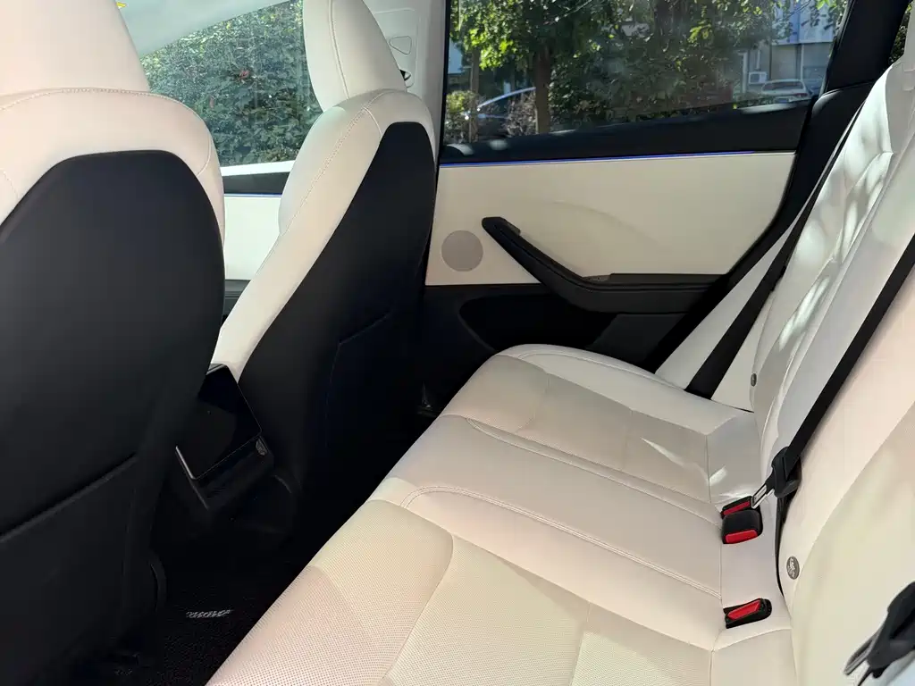 Tesla Model 3 — миниатюра 11