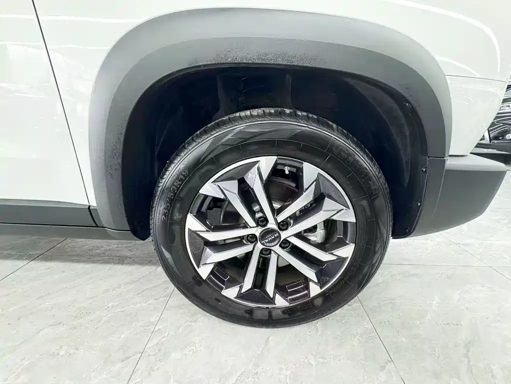 Haval 长城大狗 — миниатюра 20