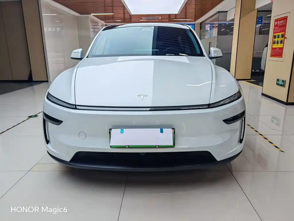 Tesla Model Y — миниатюра 2