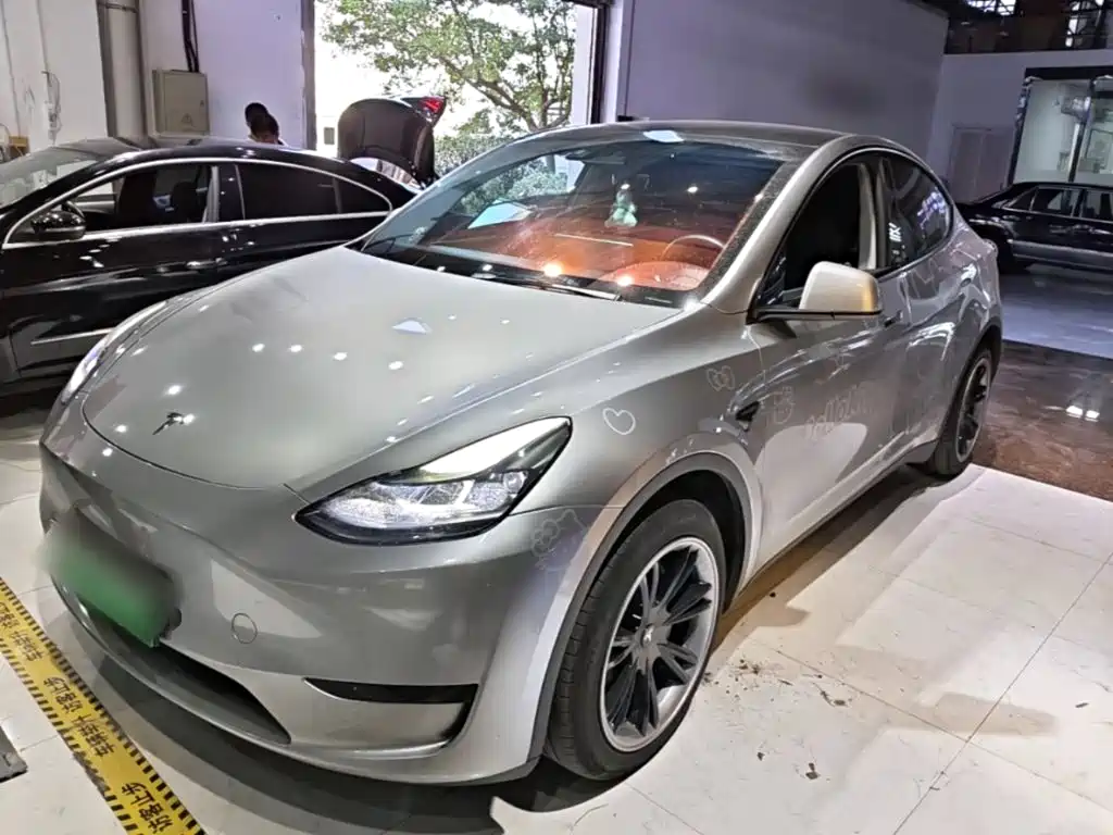 Tesla Model Y — миниатюра 2