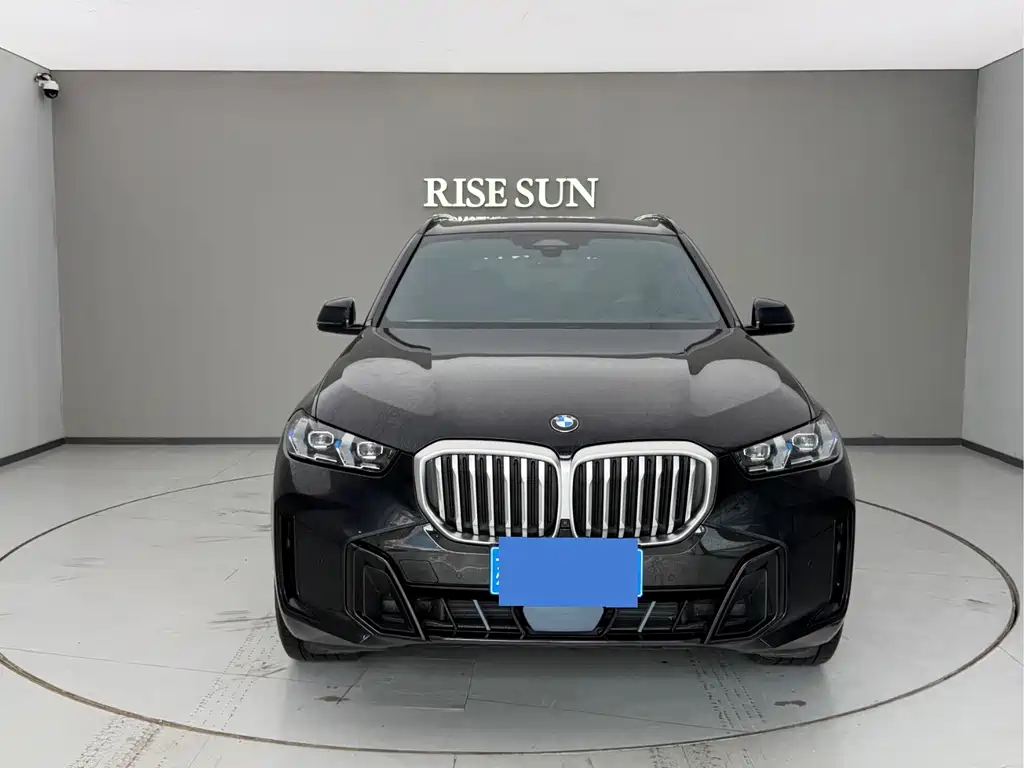 BMW X5 — миниатюра 2