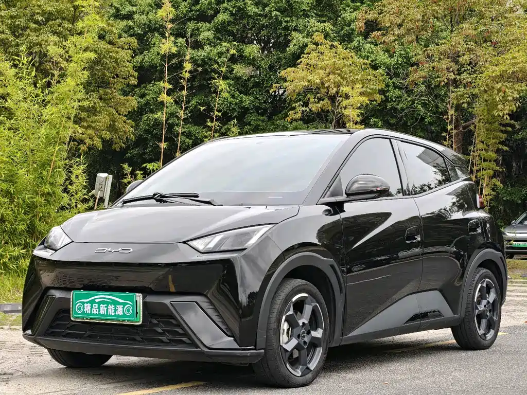 Byd Seagull 2023