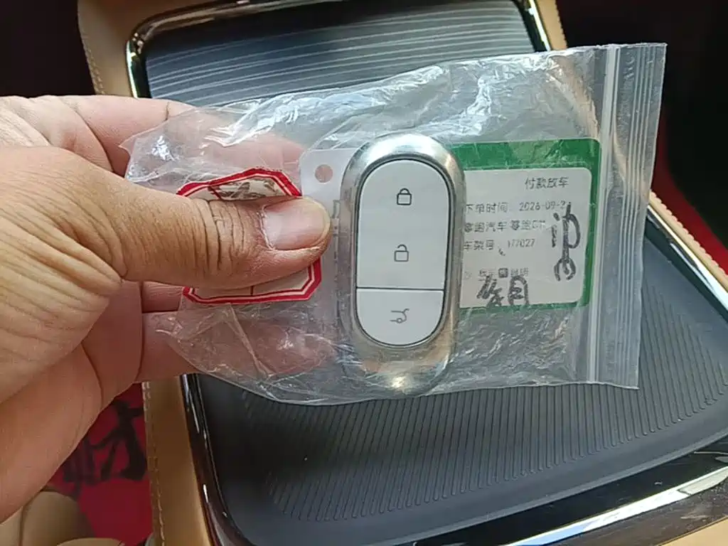 Leapmotor Leapmotor C11 — миниатюра 9