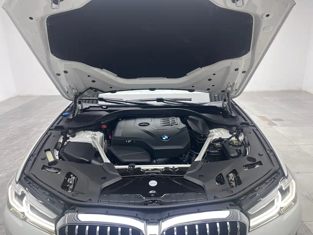 BMW 5 Series 5 2021 530Li Lead Luxury