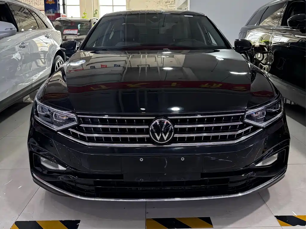 Volkswagen Magotan 2024 200 330TSI DSG Luxury