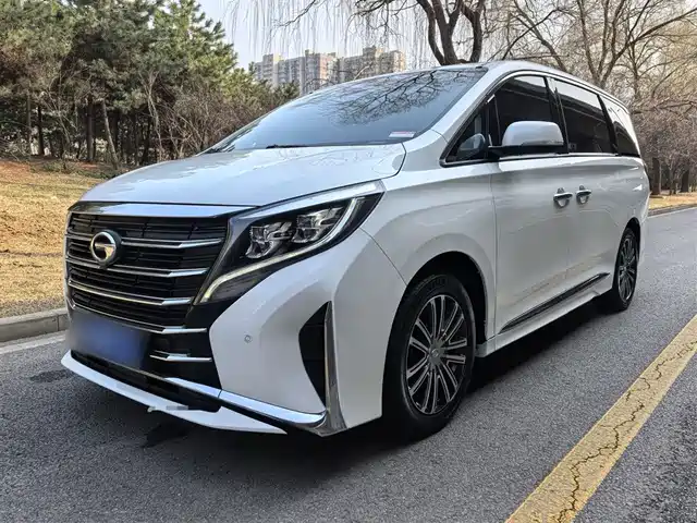 2020 GAC Trumpchi M8