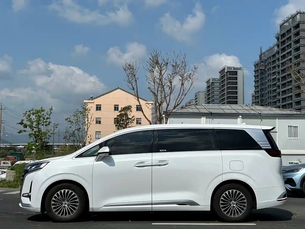Denza Denza D9 — миниатюра 4