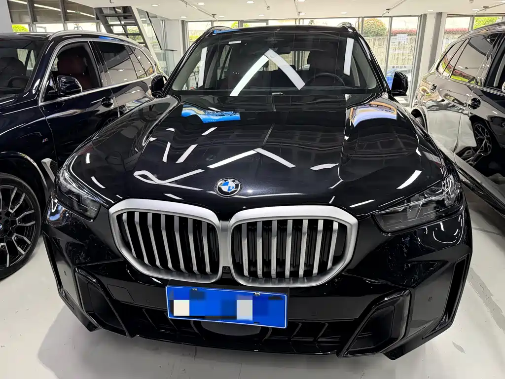 BMW X5 — миниатюра 3