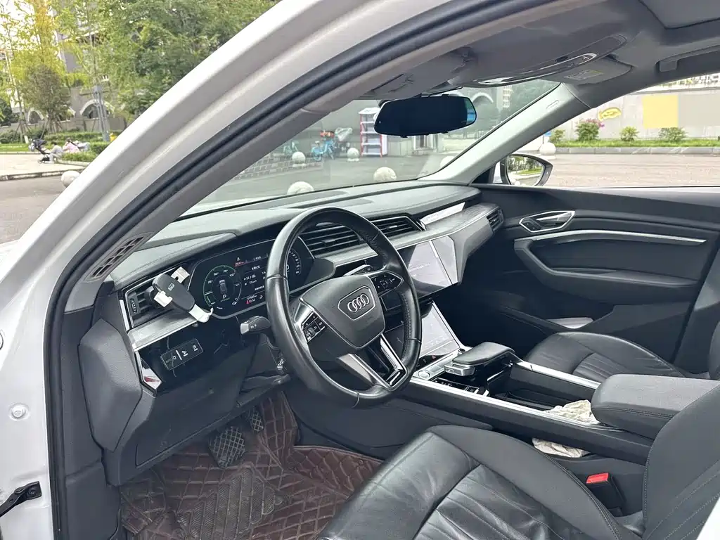 Audi e-tron (Import) — миниатюра 5