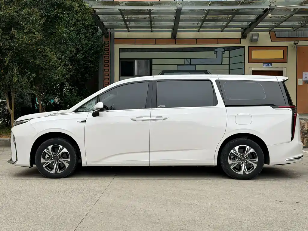 MAXUS Dajia 9 — миниатюра 4