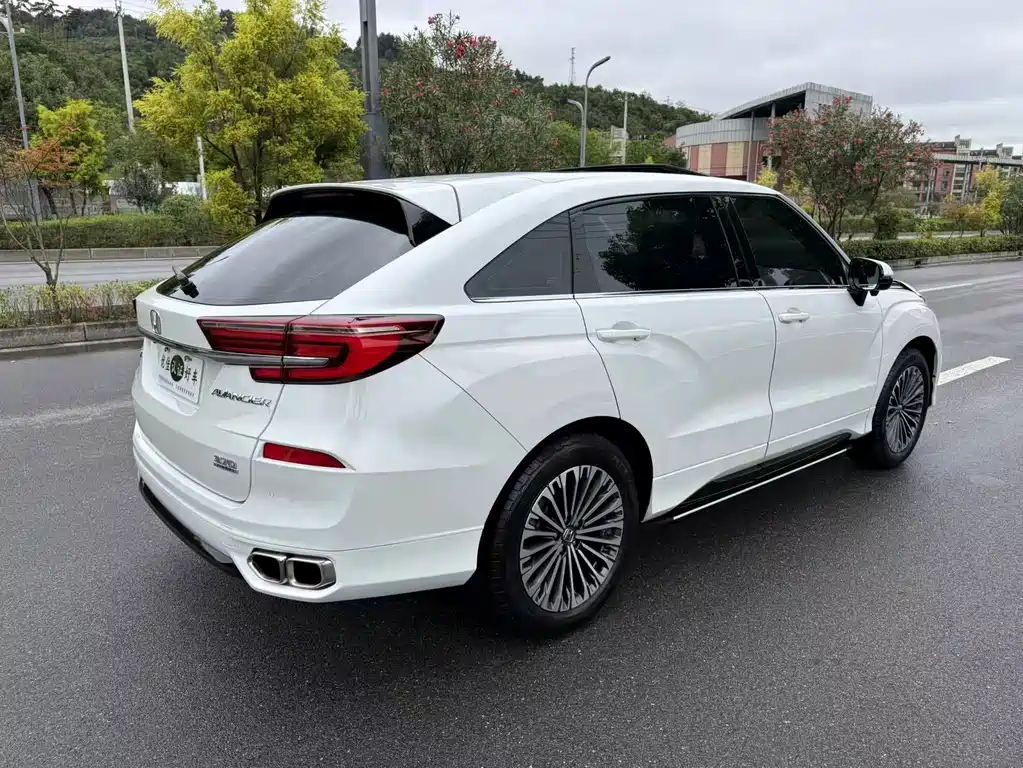 Honda Avancier — миниатюра 12