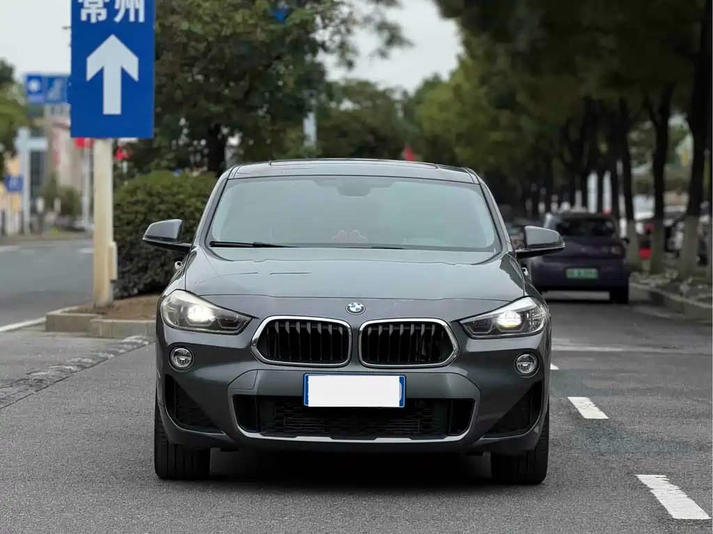 BMW X2 (Import) — миниатюра 2