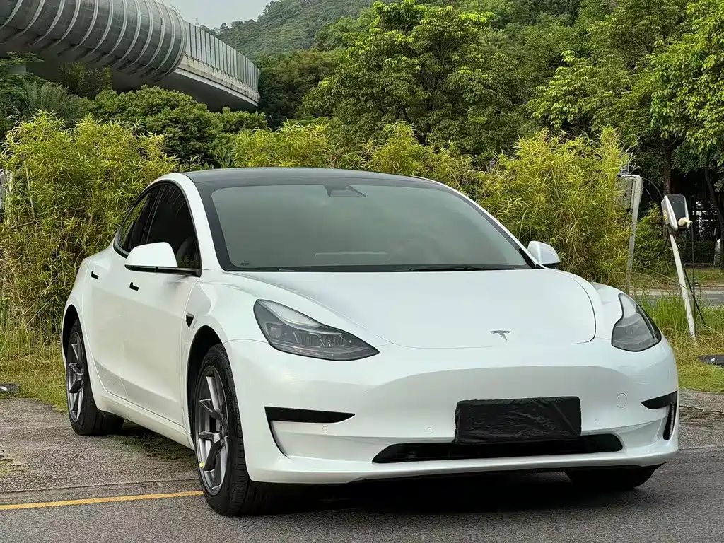 Tesla Model 3 — миниатюра 3