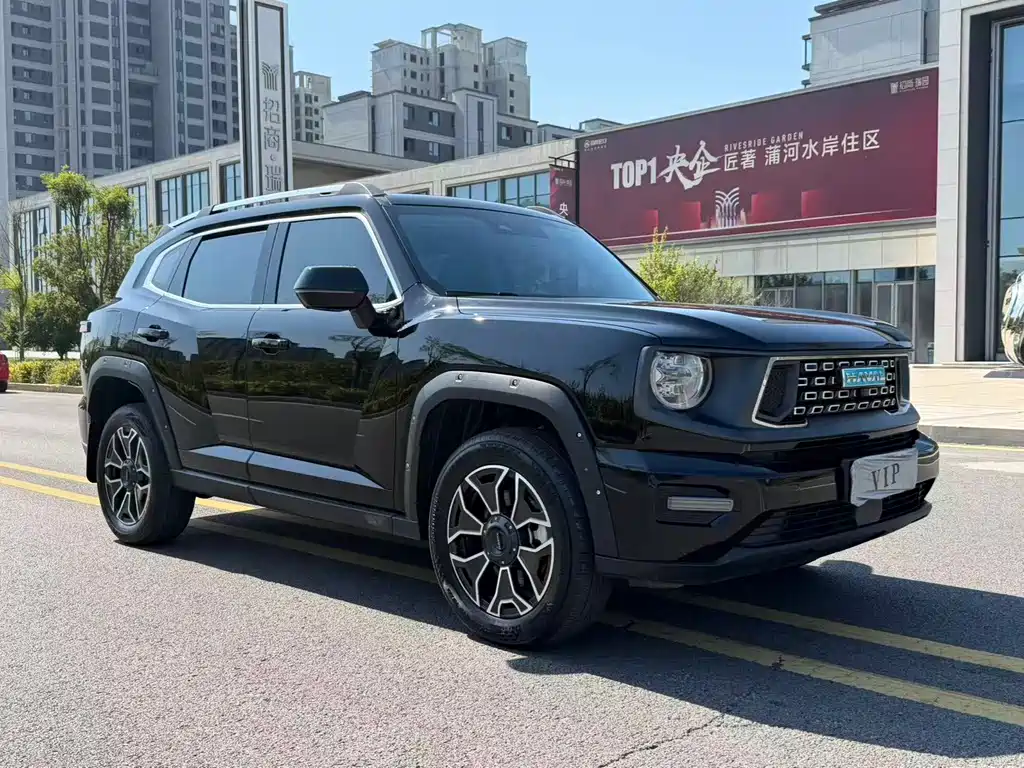 Haval Big Dog PLUS New Energy — миниатюра 3