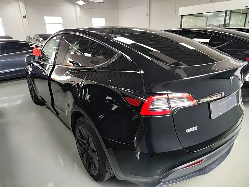 Tesla Model Y — миниатюра 5