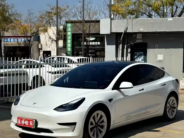 TESLA MODEL 3 2023