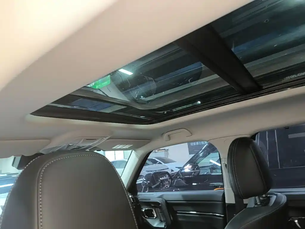 Haval Big Dog PLUS New Energy — миниатюра 18