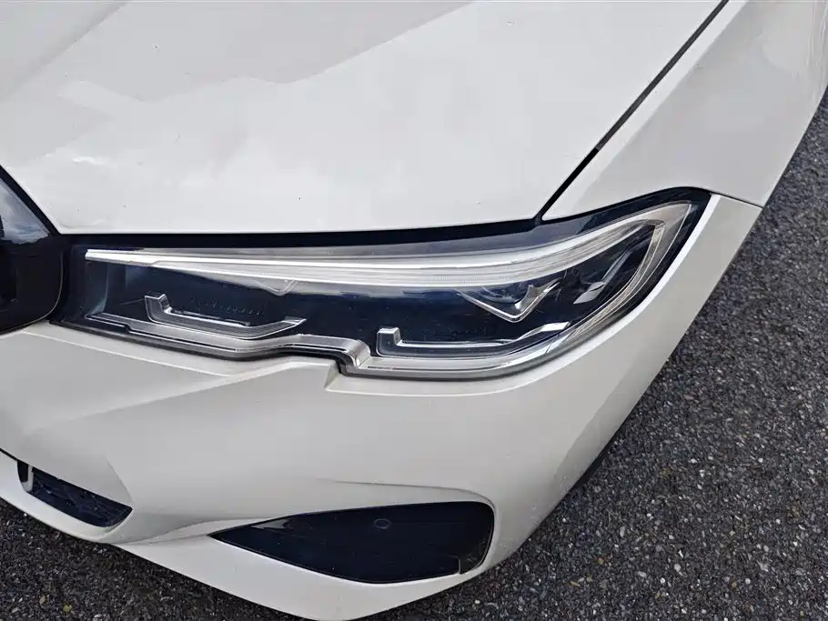 BMW 3 Series 3 2020 325Li M Sport