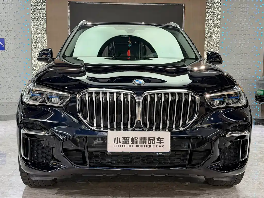 BMW X5 — миниатюра 2