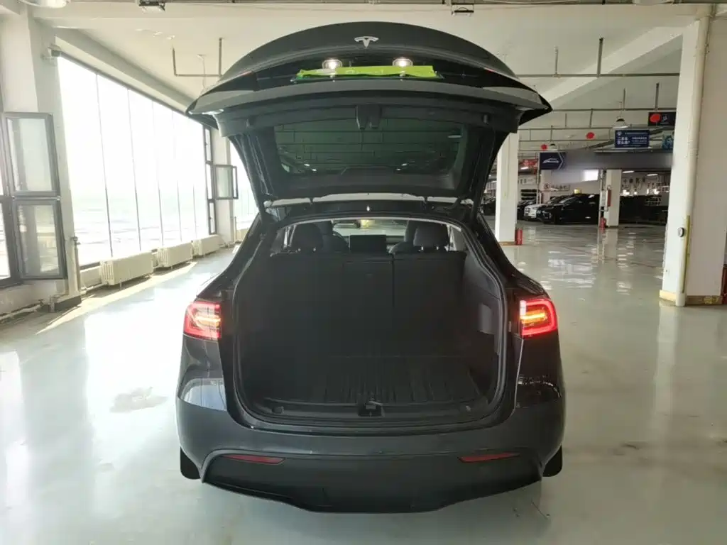 Tesla Model Y — миниатюра 19