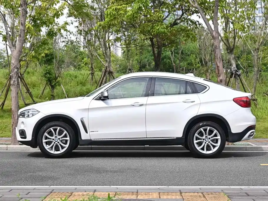 BMW X6 — миниатюра 2