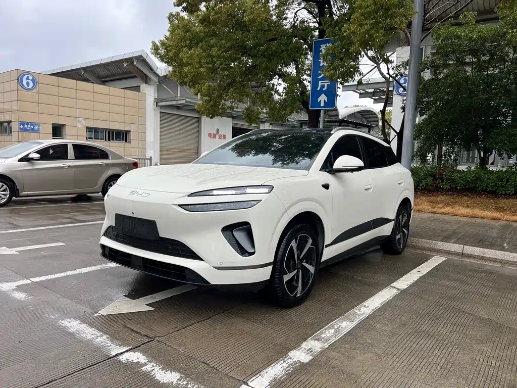 BYD SEA LION 06 NEW ENERGY