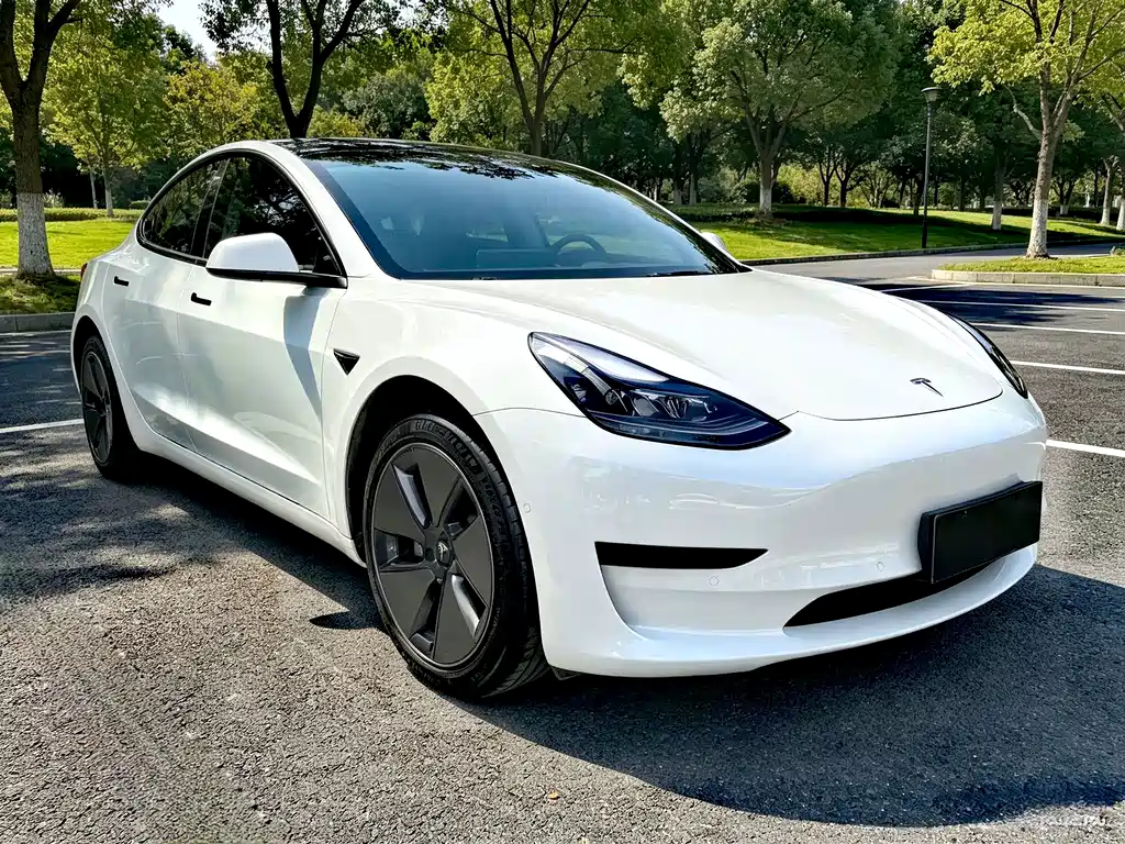 Tesla Model 3 — миниатюра 3