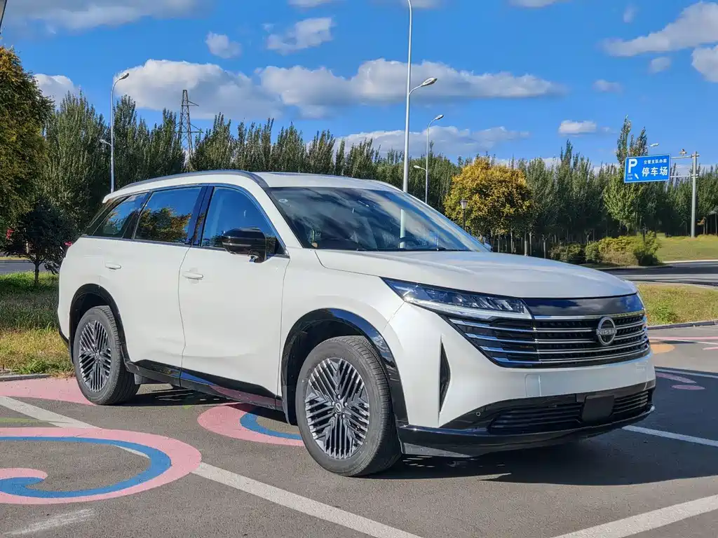 Nissan Teramont — миниатюра 3