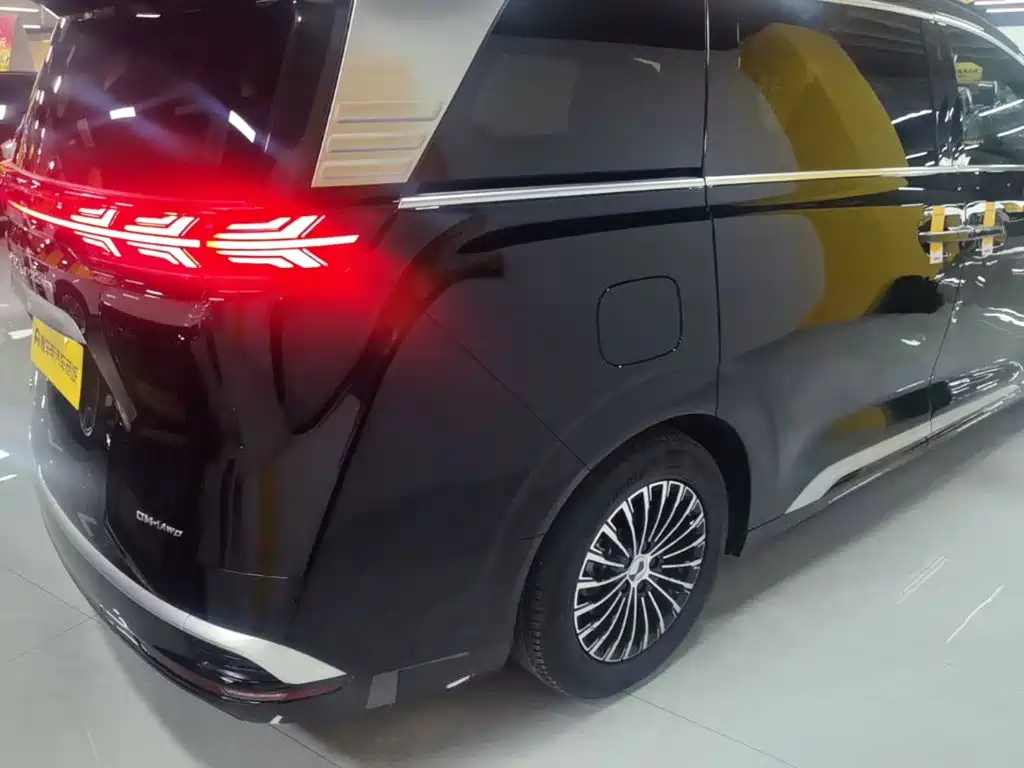 Denza Denza D9 — миниатюра 7