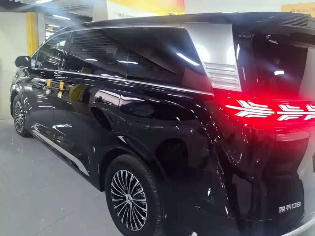 Denza Denza D9 — миниатюра 5