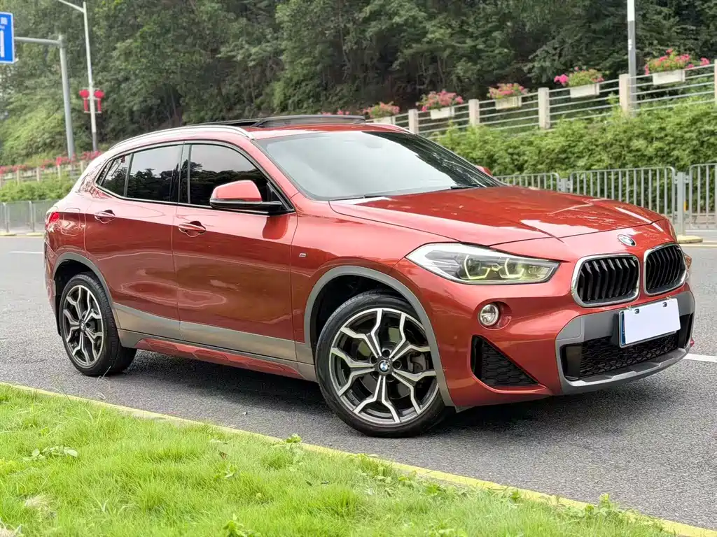 BMW X2 2018 sDrive25i Luxury M V
