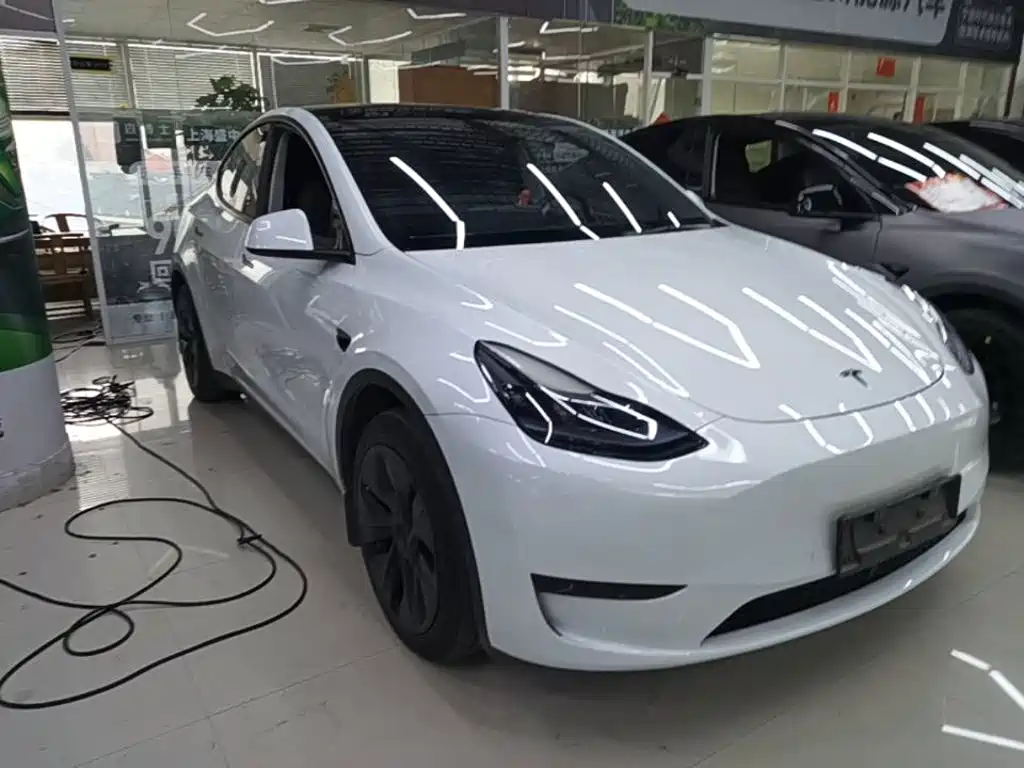 Tesla Model Y — миниатюра 4