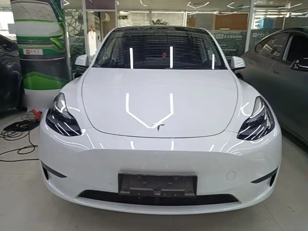 Tesla Model Y — миниатюра 3