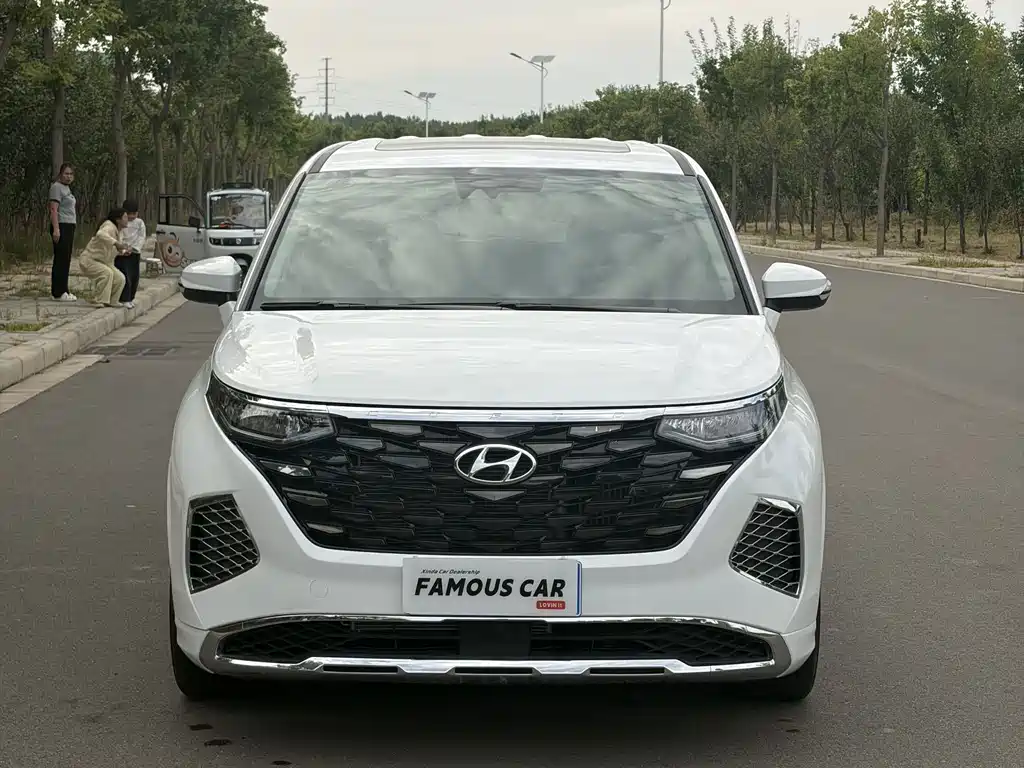 Hyundai Custo — миниатюра 2